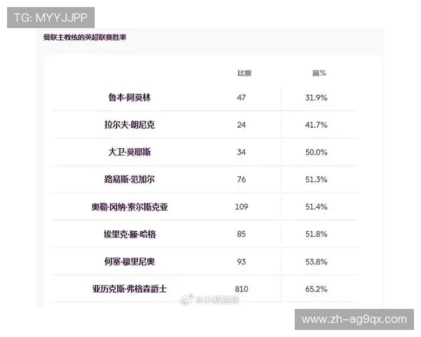 英超各支球队的胜率对比